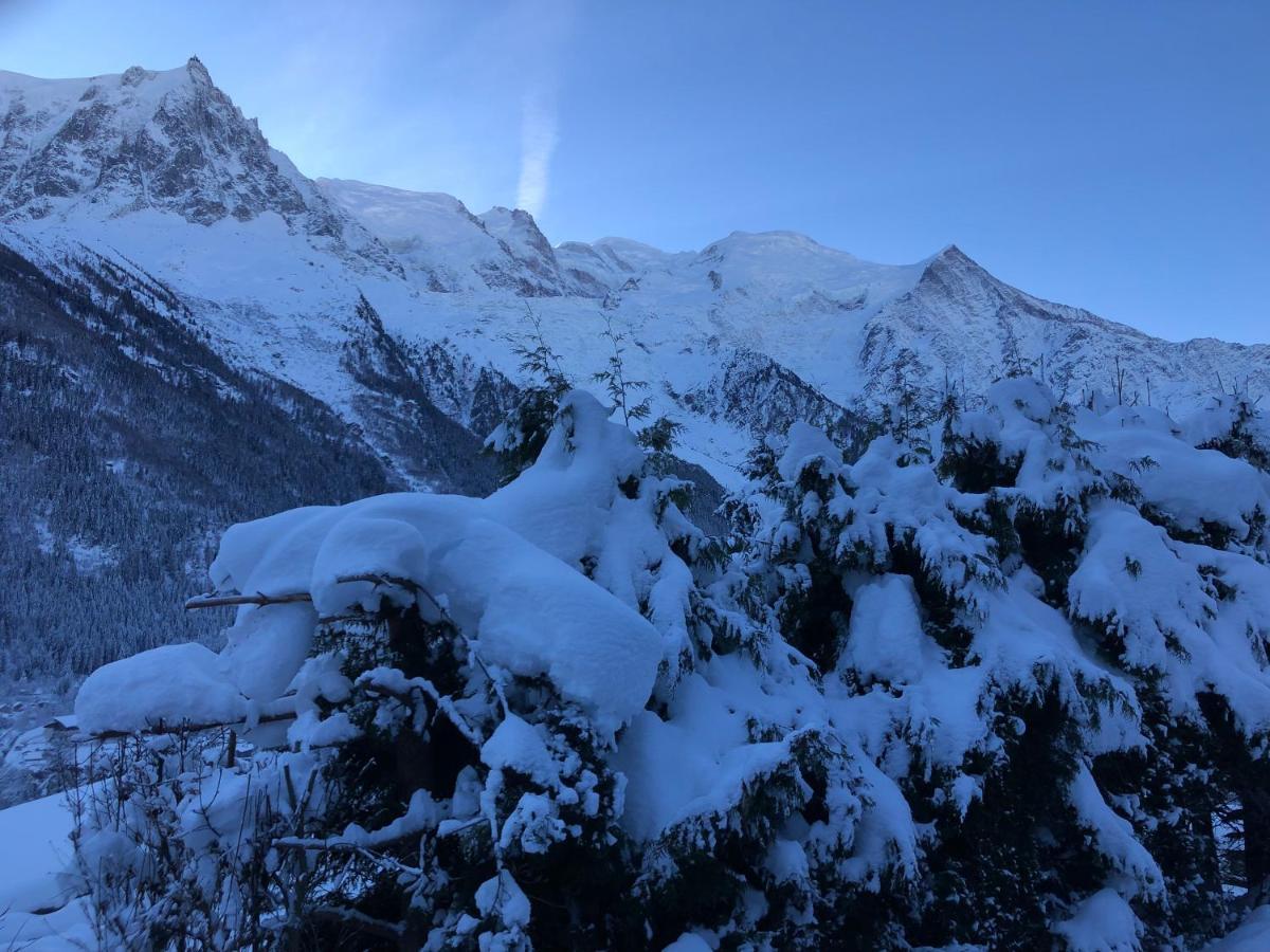 Mont Blanc 43, Vue Mont Blanc , Balcon, Parking Apartamento *